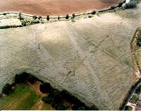 SPRINGFIELD Pease Hall Farm  , cropmarks; enclosure ect  © Essex County Council