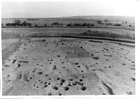 Springfield Lyons Circular cropmark enclosure, c60m in diameter  © Essex County Council